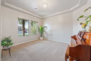 Living area with carpet, visible vents, baseboards, a textured ceiling, and a raised ceiling