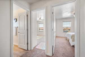 Hall featuring plenty of natural light, light colored carpet, baseboards, and a textured ceiling