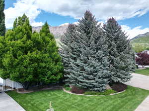 View of mountain backdrop
