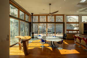 Sunroom / solarium featuring plenty of natural light and ceiling fan