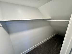 Spacious closet with dark colored carpet and lofted ceiling