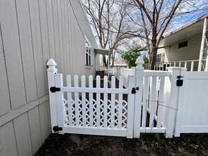 Dog run gate