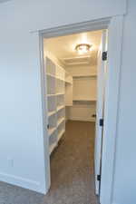 Spacious closet featuring dark colored carpet and attic access