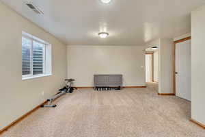 Workout area featuring carpet flooring, baseboards, and visible vents