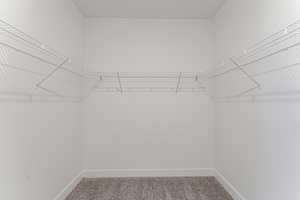 Spacious closet featuring carpet