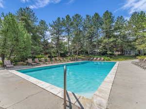 Community pool featuring a patio and view of wooded area