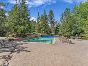 Community pool with a patio area and view of scattered trees