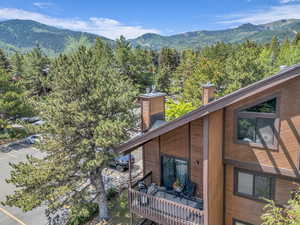 Mountain view featuring a forest