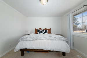 Bedroom featuring visible vents, baseboards, carpet floors, and crown molding