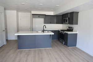 Kitchen with an island with sink, light wood-type flooring, appliances with stainless steel finishes, and a sink