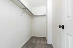 Spacious closet featuring dark carpet