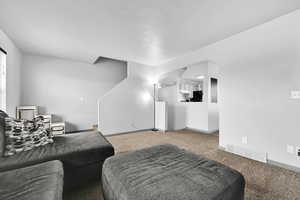 Carpeted living room