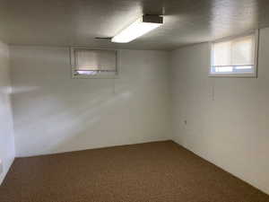 Basement featuring carpet floors and a textured ceiling