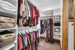 Walk in closet with carpet floors