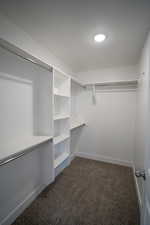 Walk in closet with dark carpet