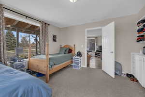 Carpeted bedroom with baseboards