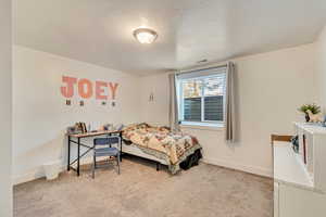 Basement Bedroom