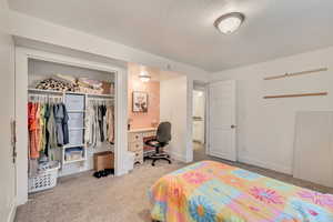 Basement Bedroom