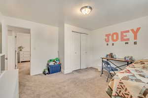 Basement Bedroom
