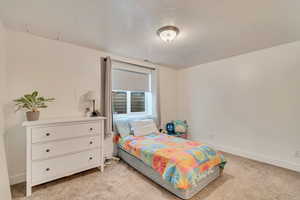 Basement Bedroom