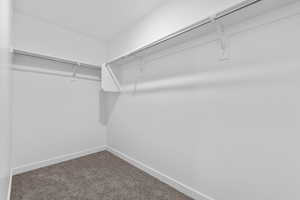 Spacious closet featuring carpet floors