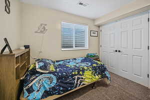 Bedroom with a closet, visible vents, and carpet