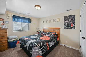 Bedroom with carpet floors, a textured ceiling, baseboards, and visible vents
