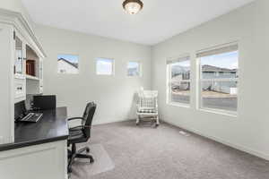 Office with carpet, baseboards, and a wealth of natural light