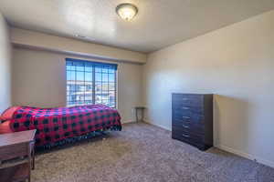 Carpeted bedroom with visible vents, baseboards, and a textured ceiling