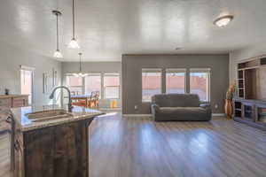 Kitchen with a sink, wood finished floors, a healthy amount of sunlight, and open floor plan