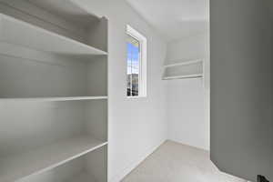 Spacious closet featuring carpet flooring