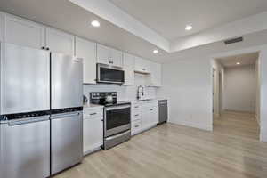 Lower Level second Kitchen with backsplash, light wood-type flooring, stainless steel appliances, and a sink.