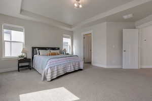 Bedroom featuring multiple windows, a raised ceiling, and light colored carpet