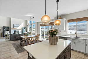 Kitchen with stainless steel dishwasher, light wood-style flooring, a wealth of natural light, and a sink