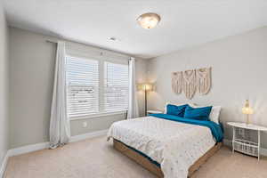 Bedroom featuring visible vents, a textured ceiling, carpet, and baseboards