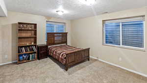 Bedroom with carpet, baseboards, a textured wall, and a textured ceiling