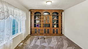 Interior space with visible vents, carpet floors, and a textured ceiling