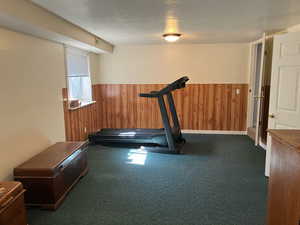 Workout area featuring wooden walls, a wainscoted wall, carpet floors, and a textured ceiling