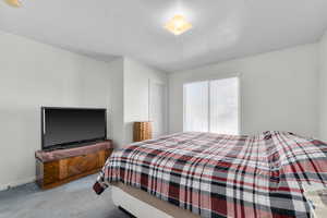 Bedroom featuring baseboards, carpet, and a textured ceiling