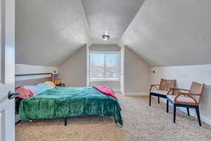 Carpeted bedroom featuring vaulted ceiling, baseboards, and a textured ceiling