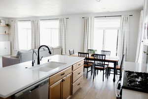 Kitchen featuring a sink, dishwasher, open floor plan, and four large windows providing a healthy amount of sunlight