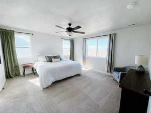 Spacious Master Bedroom with ceiling fan, mountain view, and light colored carpet