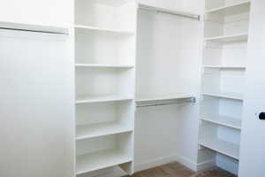 Spacious Master Closet featuring carpet floors