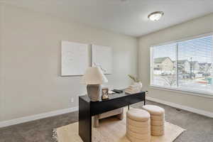 Office space with visible vents, carpet flooring, and baseboards
