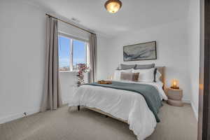 Bedroom featuring carpet, visible vents, and baseboards