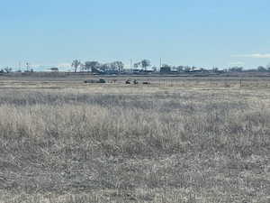 View of local wilderness with a rural view