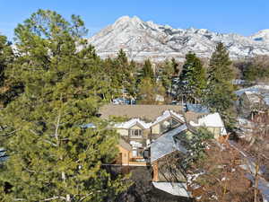 Birds eye view of property featuring a mountain view