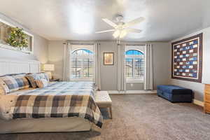 Primary Suite, ceiling fan, luxurious carpet, natural light