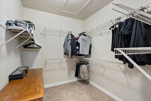 Spacious closet featuring attic access and carpeted flooring