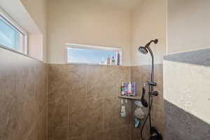 Bathroom with a tile shower